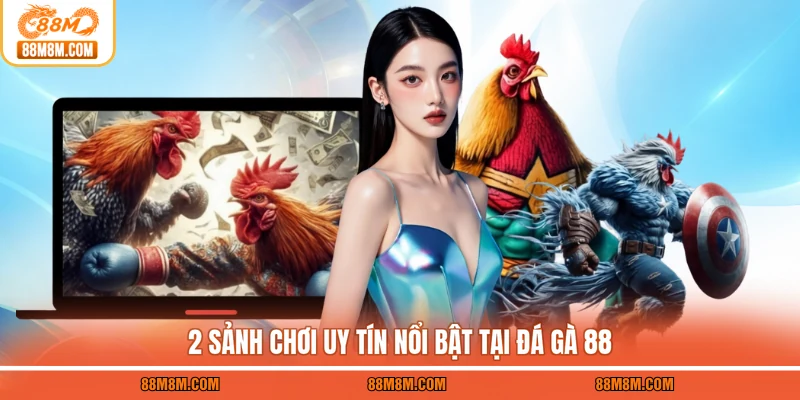 2 sảnh chơi uy tín nổi bật tại đá gà 88