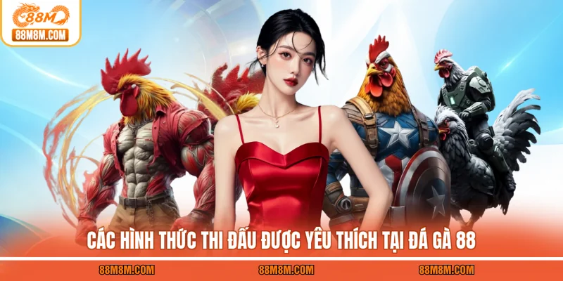 Các hình thức thi đấu được yêu thích tại đá gà 88