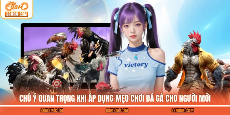 Chú ý quan trọng khi áp dụng mẹo chơi đá gà cho người mới