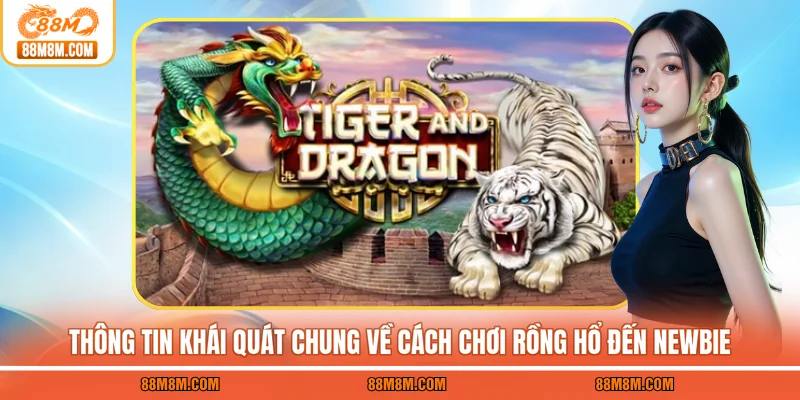 Thông tin khái quát chung về cách chơi Rồng Hổ đến newbie